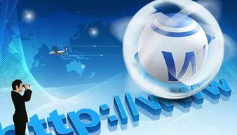 互聯(lián)網(wǎng)營(yíng)銷(xiāo)的發(fā)展及應(yīng)用與軟硬件的開(kāi)發(fā)銷(xiāo)售