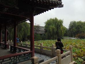 集古建筑園林精華的十大名園古蓮花池 北方三省游 11