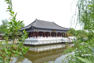 五一近郊游火熱 國(guó)學(xué)公園成新人拍照勝地