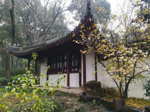 梅雨瀟瀟,園林里的古建筑是如何應(yīng)對(duì)的