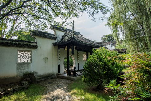 蘇州傳奇榜眼府,曾經(jīng)被改成味精廠,典雅大方為宅院式園林精品