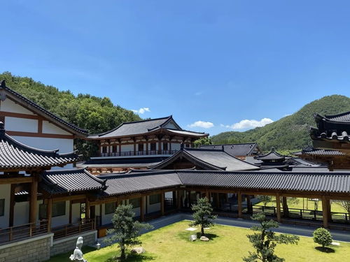 預約 寺院建筑與設計展,不可錯過的視覺盛宴
