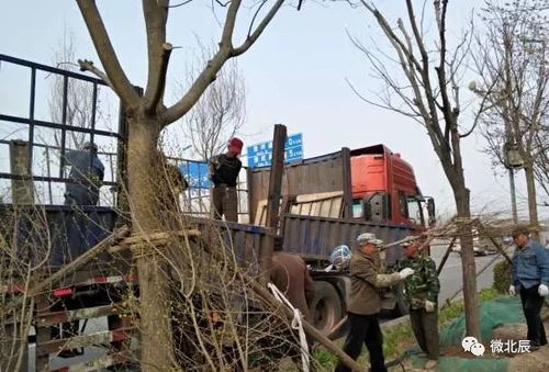 建立健全長效機制,建設新美景北辰這樣做