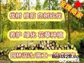 專業辦公樓綠化施工養護學校小區工廠綠化施工養護