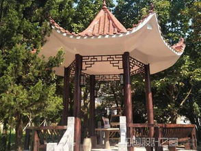 仿古建筑木紋漆優選石家莊紅杉彩藝