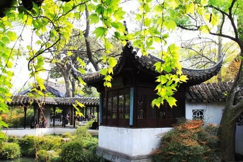 江南水鄉 蘇州古建筑的布局及特點