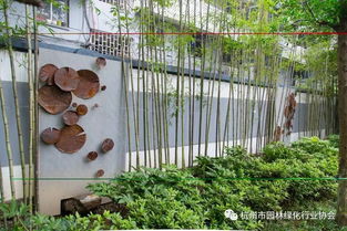 2017年度杭州市優(yōu)秀園林綠化工程道路組金獎(jiǎng) 莫干山路綜合整治景觀工程