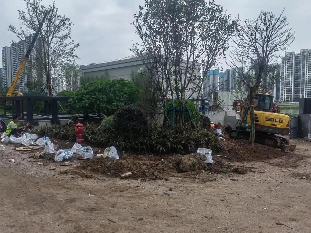 圖文來了 #園林景觀工程 #施工現(xiàn)場實拍 這下雨天,真干不