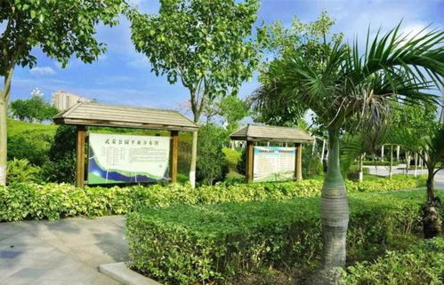 資質取消后,如何保證園林綠化工程質量