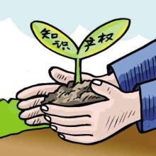 河南大象律師事務所