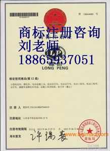 東營(yíng)商標(biāo)注冊(cè)代理公司 東營(yíng)商標(biāo)注冊(cè)成功率,東營(yíng)商標(biāo)注冊(cè)代理公司 東營(yíng)商標(biāo)注冊(cè)成功率生產(chǎn)廠家,東營(yíng)商標(biāo)注冊(cè)代理公司 東營(yíng)商標(biāo)注冊(cè)成功率價(jià)格